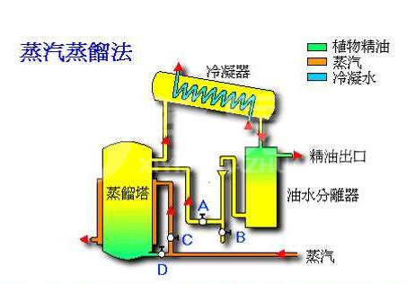 精油可以直接涂抹在臉上嗎？